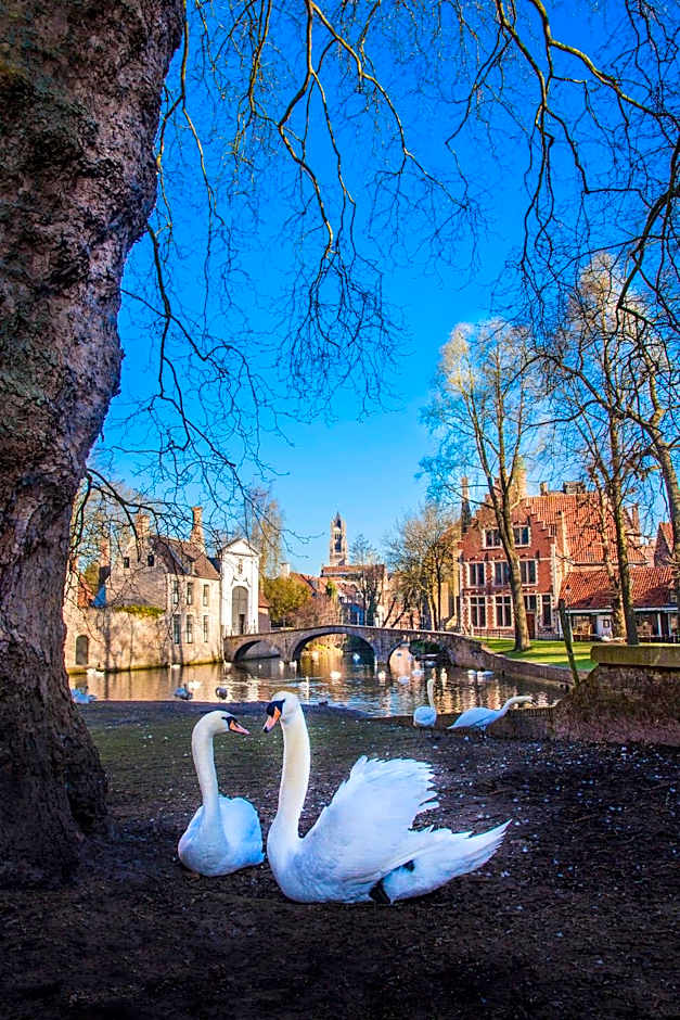RADISSON BLU HOTEL, BRUGES