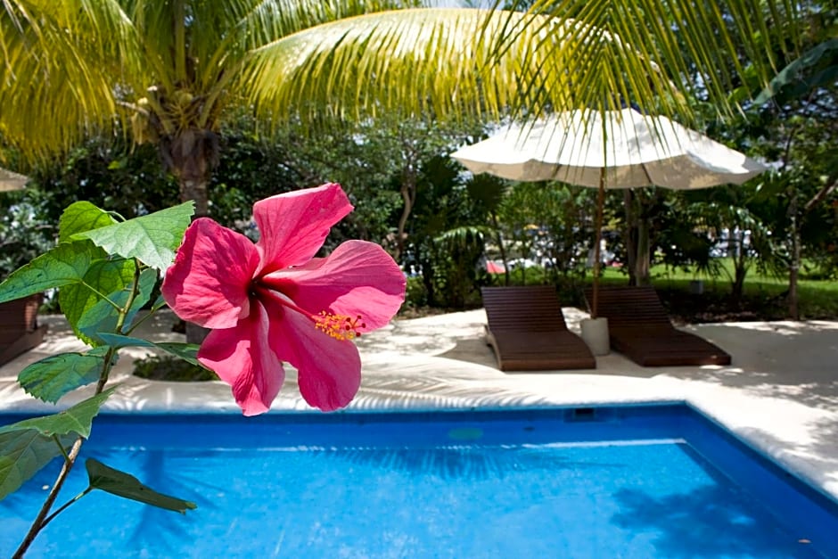 Sotavento Hotel & Yacht Club