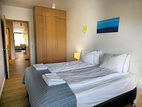 Deluxe Two-Bedroom Apartment with Balcony - Laugavegur 85