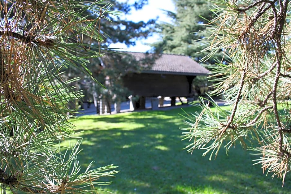Hotel Village