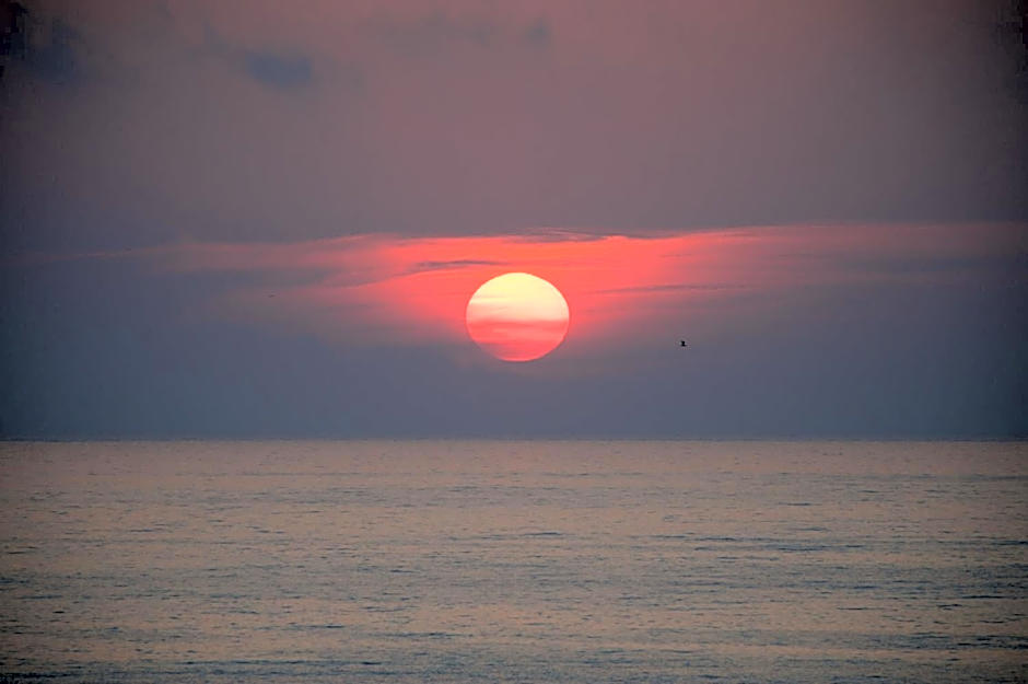 Summer Dream