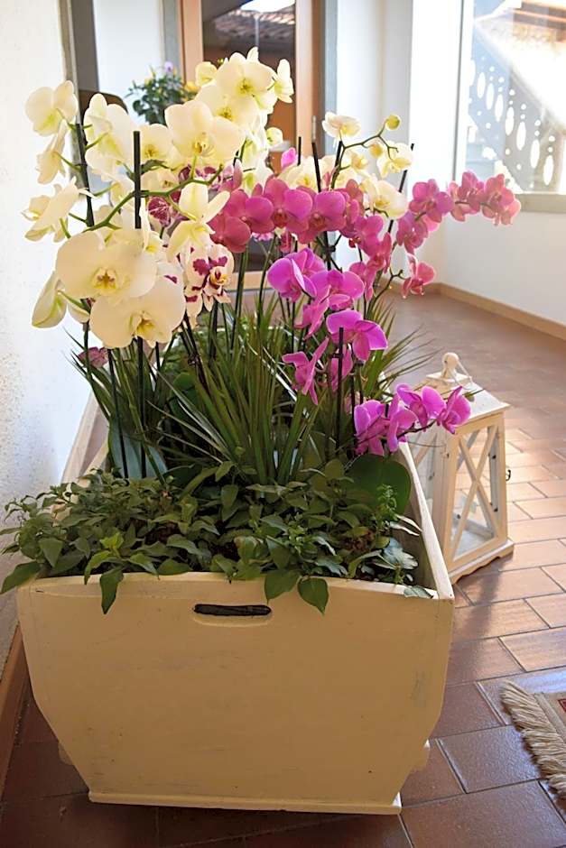 Albergo Ristorante Orazio