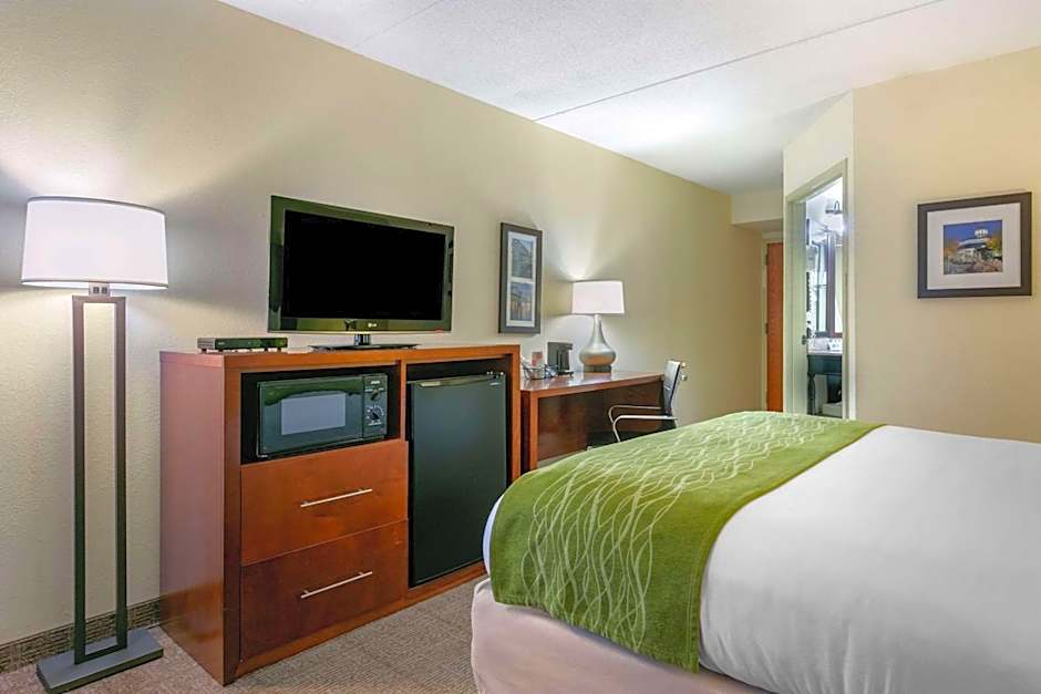 Comfort Inn Downtown Lookout Mountain Chattanooga