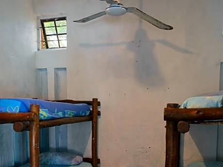 Bed in 4-Bed Dormitory Room