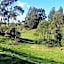 Rolling Hills Country Stay B&B