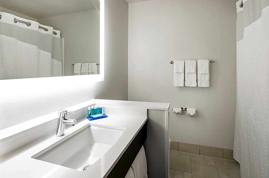Holiday Inn Express Hotel & Suites Minneapolis-Downtown Convention Center by IHG