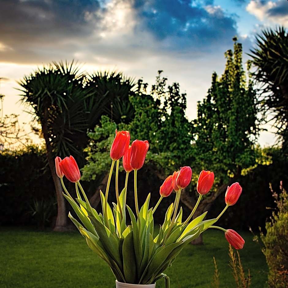 Antica Casina B&B di Charme