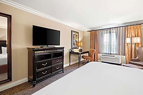1 King Bed,Non smoking,Work desk,Microwave And Mini-Refrigerator,Full Breakfast