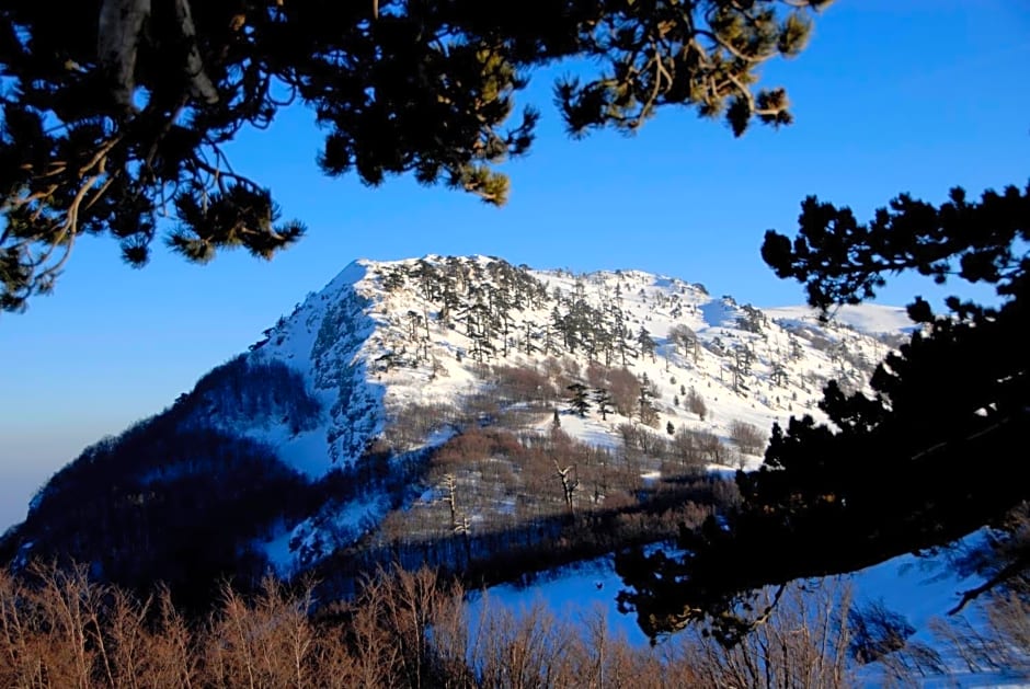 Tana Libera Tutti 1 Nature, Yourself, Love