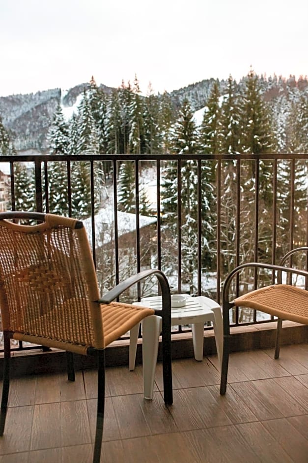 Atrium Hotel Mountain View Predeal