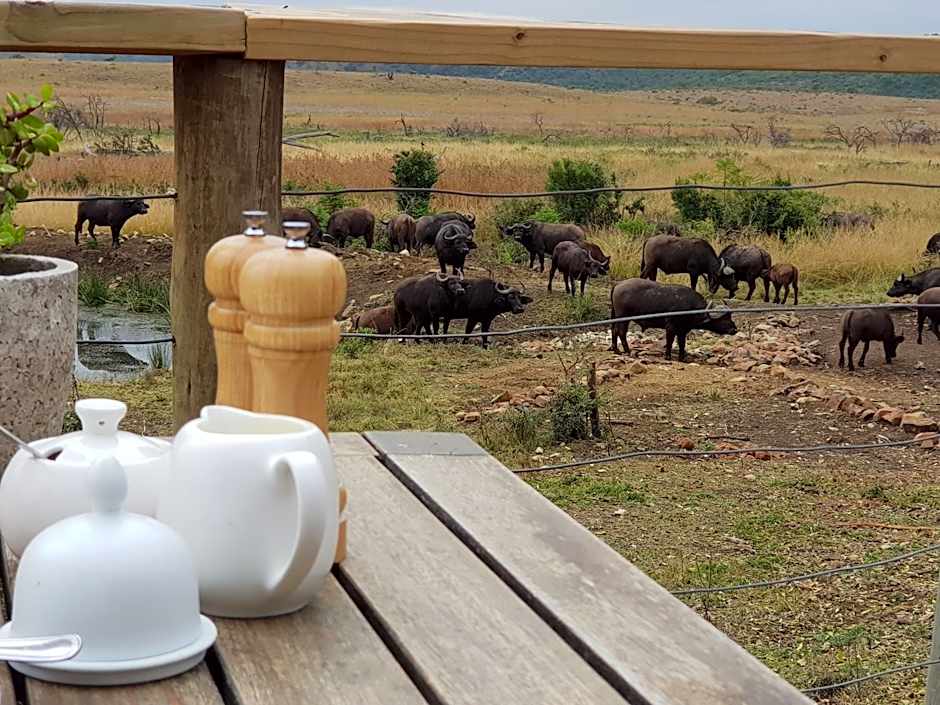Nambiti Plains Lodge