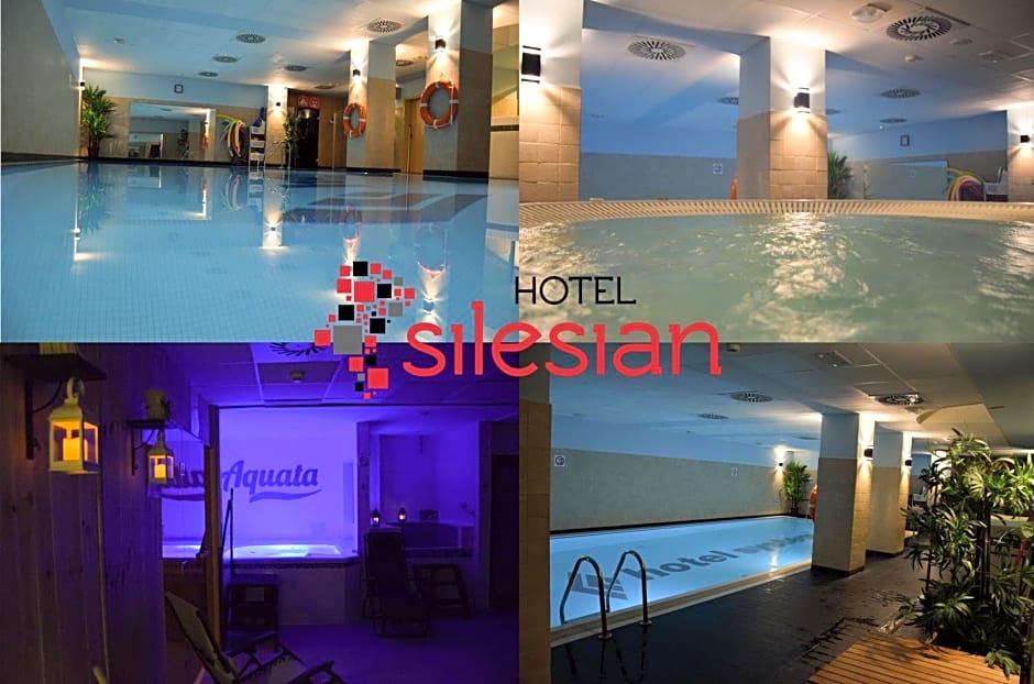 Economy Silesian Hotel