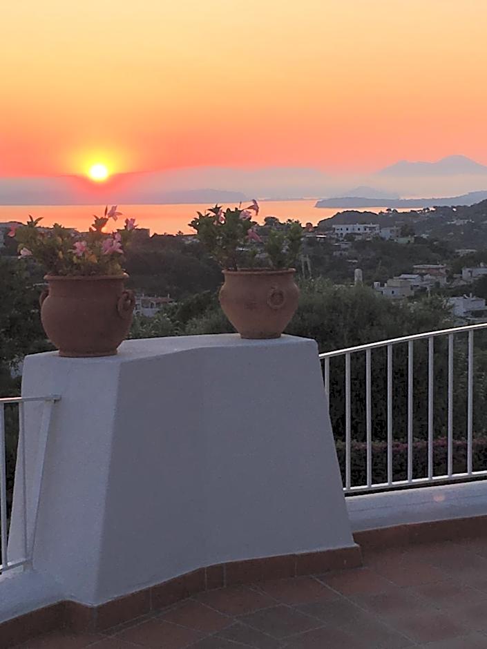 Poggio Aragosta Hotel & Spa