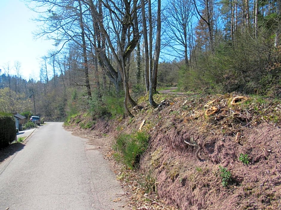 Le Clos d'Auré.