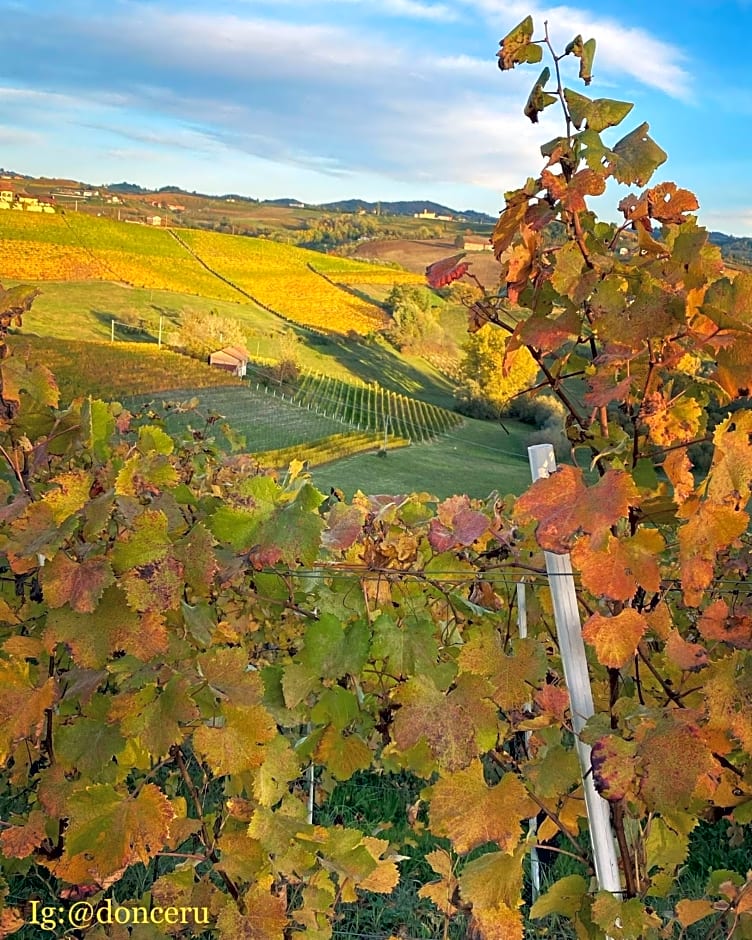 Il casotto nelle Langhe