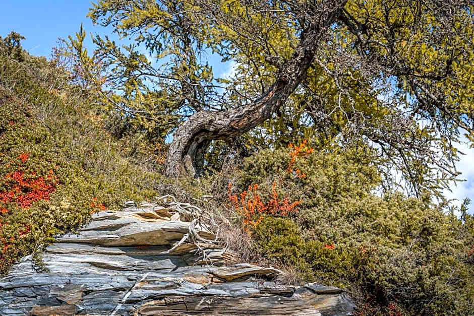 VISPERBLICK 24-7 Parkplatz und Frühstück inkl