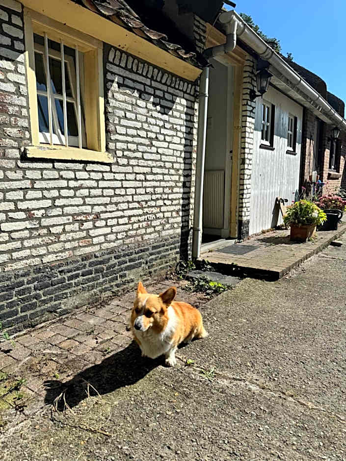 Bosrand Suite Vught