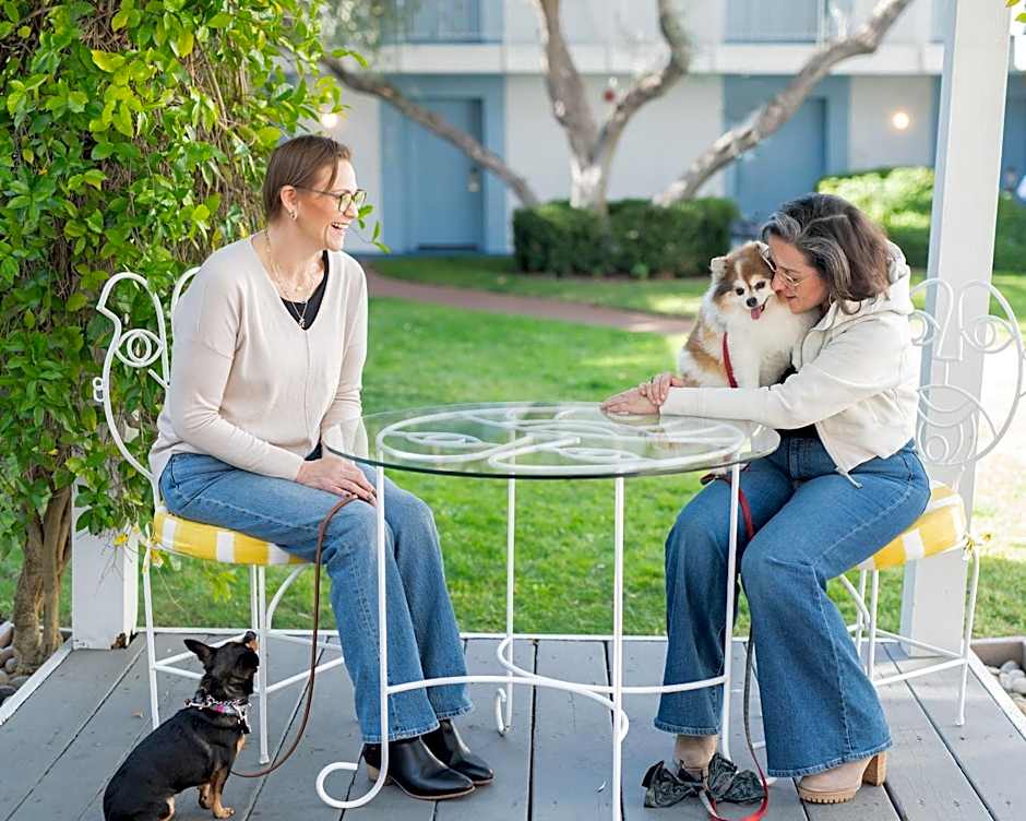 Wild Palms Hotel, part of JdV by Hyatt