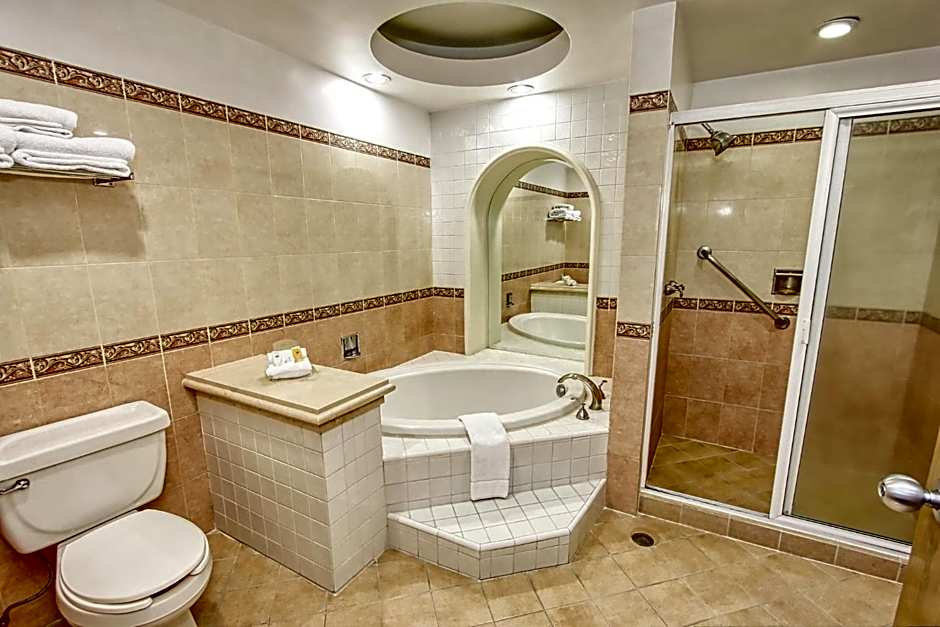 Holiday Inn Leon-Convention Center By IHG