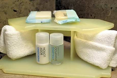 1 King Standard Access