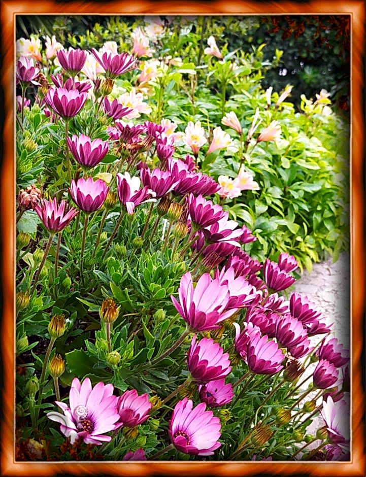 Camere "Riviera di Ulisse"