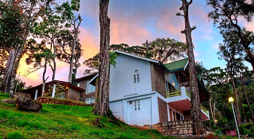 Neelakurunji Plantation Munnar