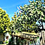 Bonjourla Otel