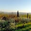 Villa Degli Ulivi