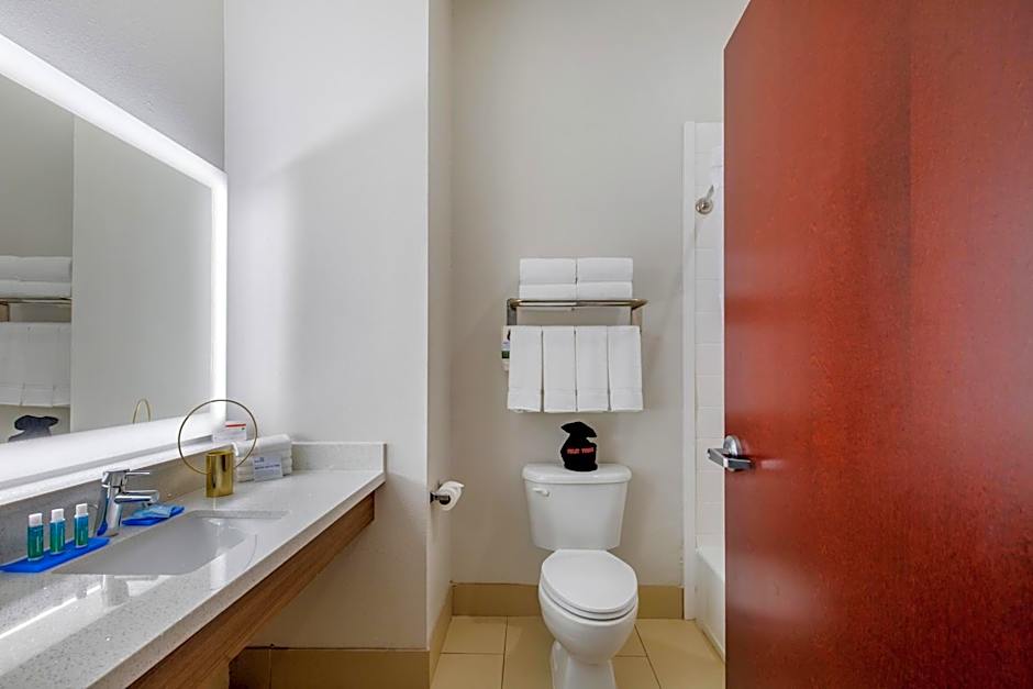 Holiday Inn Express Houston-Alvin By IHG