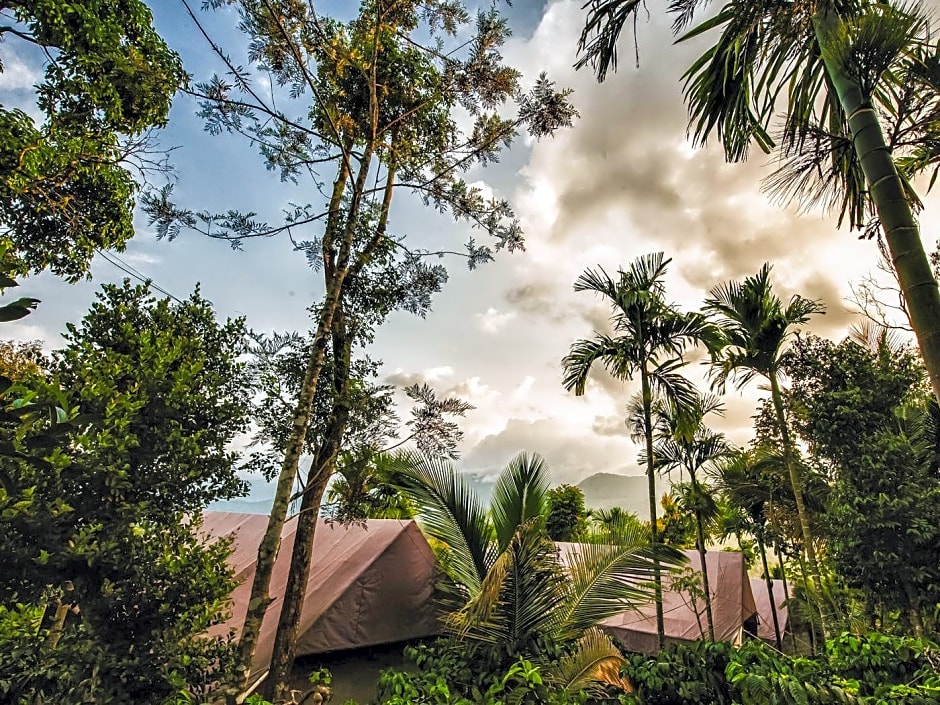 Foto 1 daripada 50 — Grassroots Wayanad, Valley-view Tents