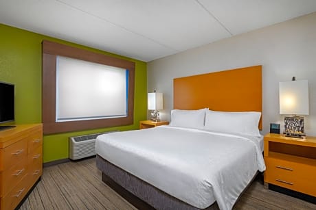 Suite King Bed Non Smoking