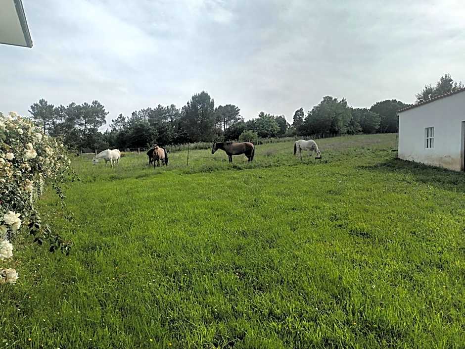 Palacio de Cantiz "Reserva de Ancares"