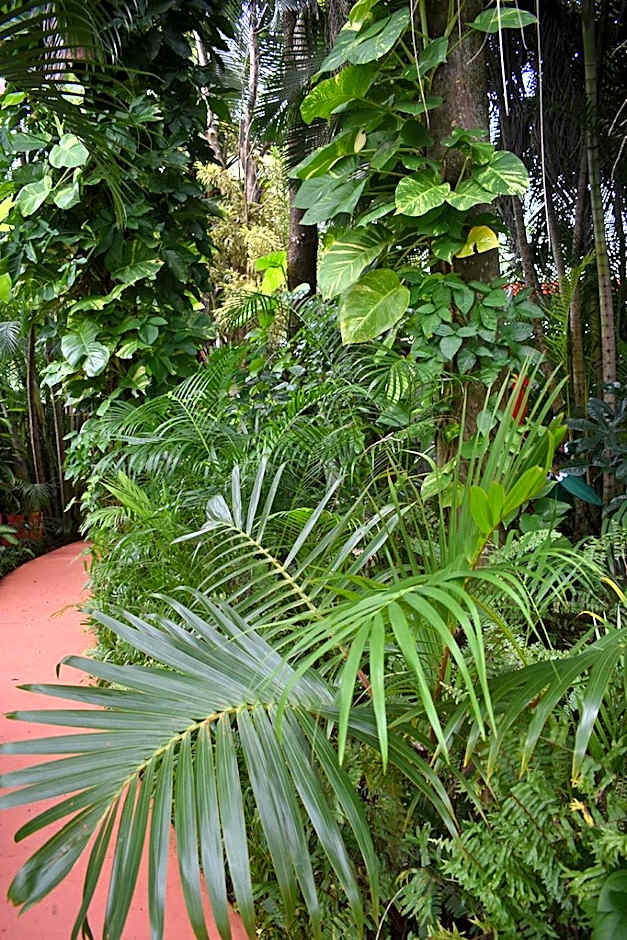 Oskar's Rain Forest Retreat