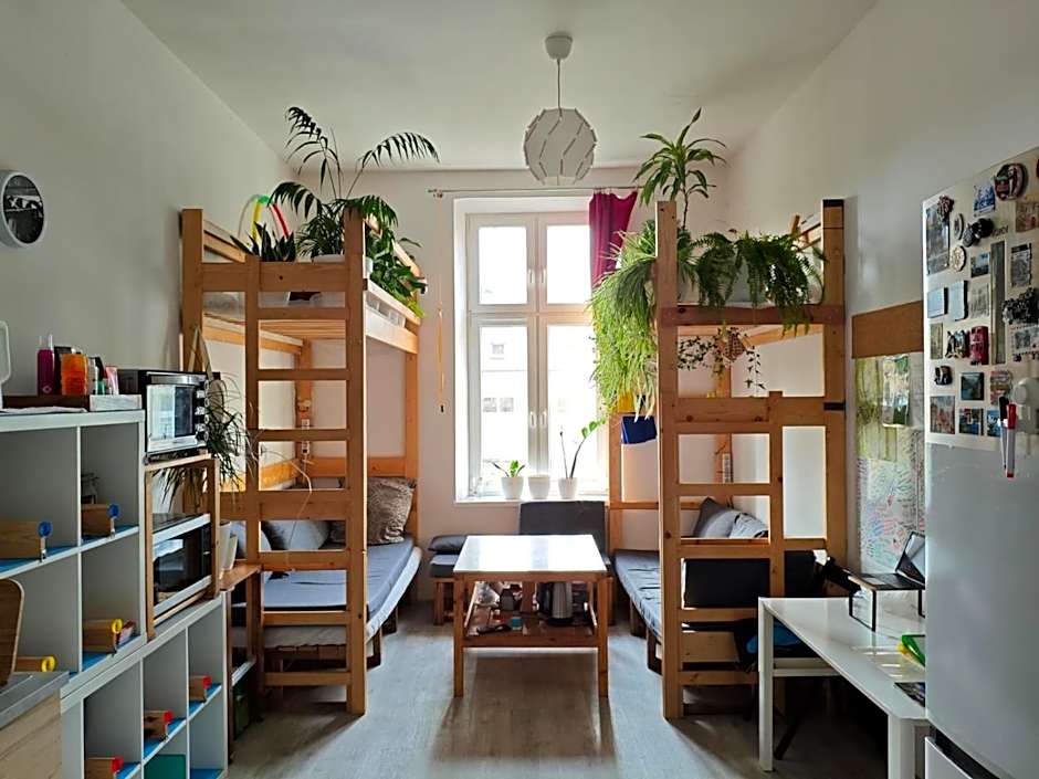 Evergreen Hostel Krakow