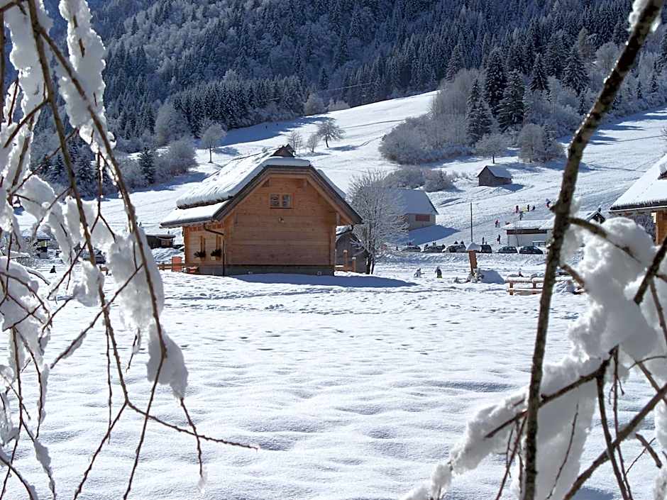 Alpi Giulie Chalets
