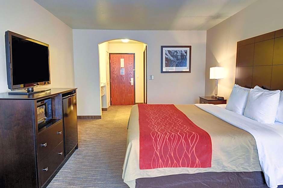 Comfort Inn And Suites