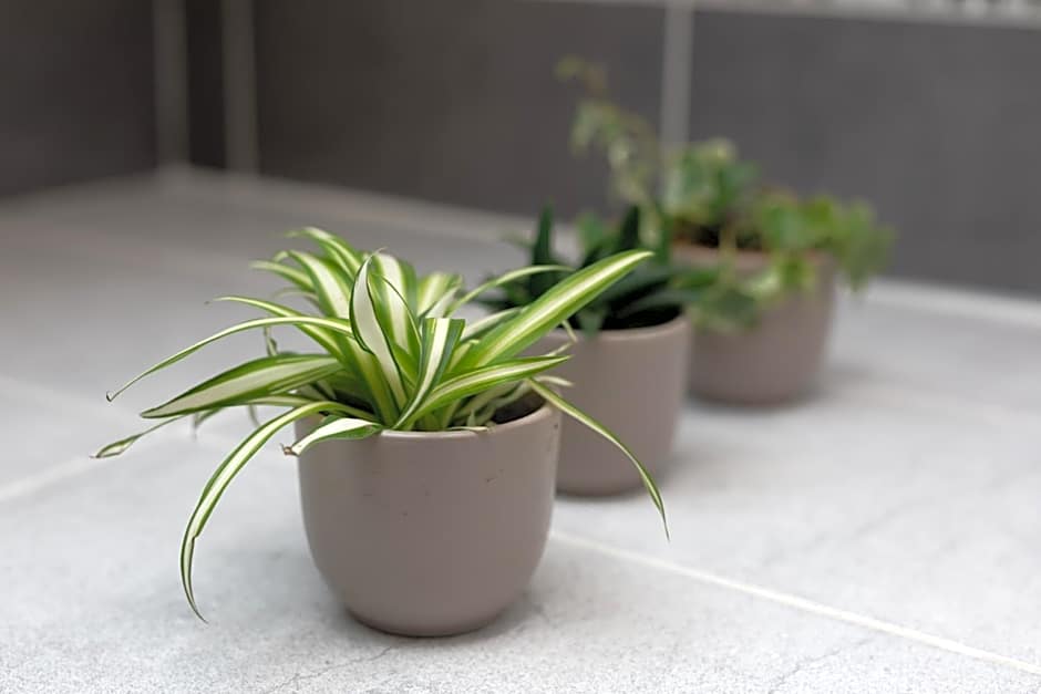 Logis-Hotel & Restaurant LE CARNOT