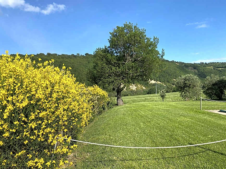Amico Country House