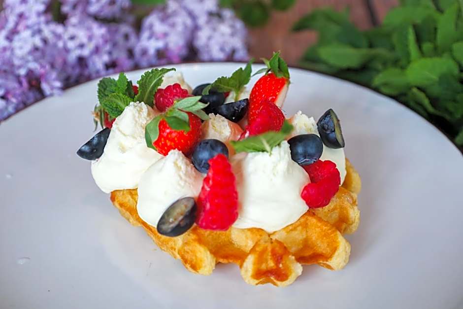 Hotel Radocza Park Business & Spa