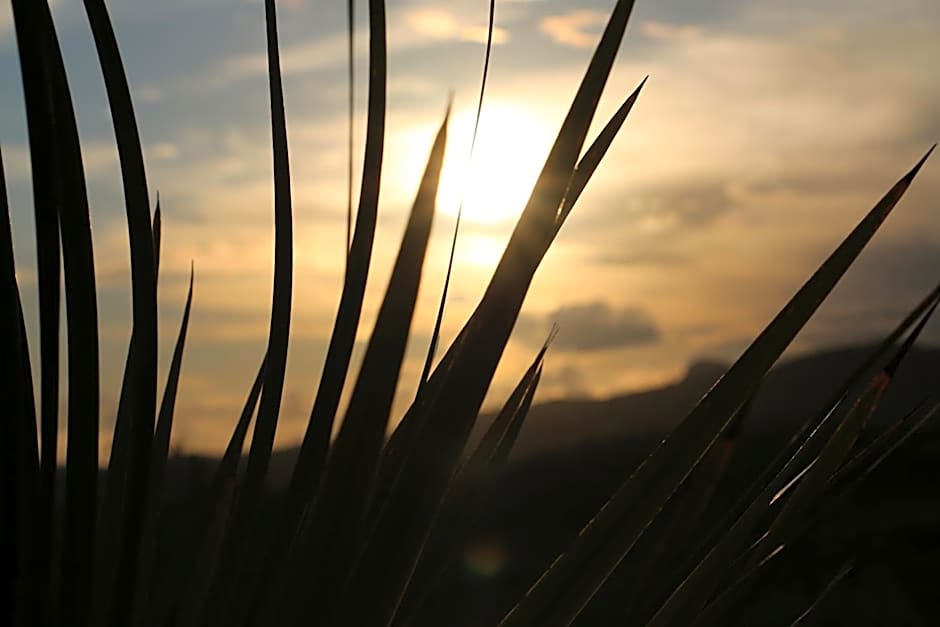 B&B Le Foglie D'Argento