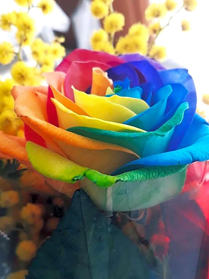 Arcobaleno Magico