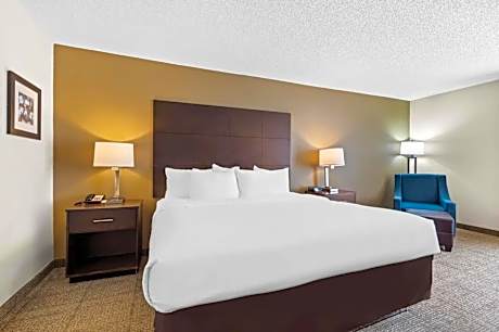 1 King Bed, Nonsmoking