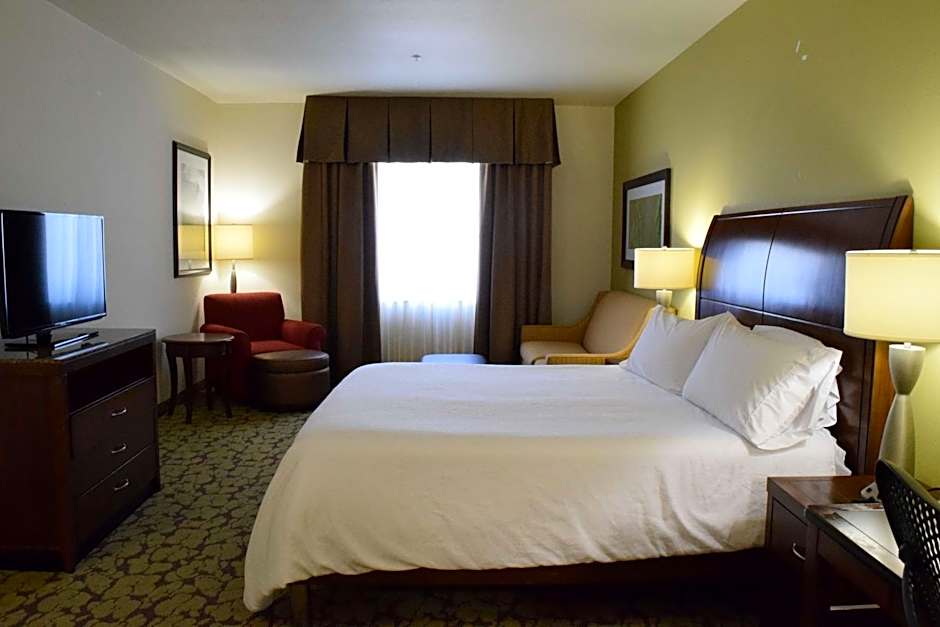 Hilton Garden Inn Rochester Downtown