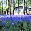 Hollicarrs - Woodland Lodge