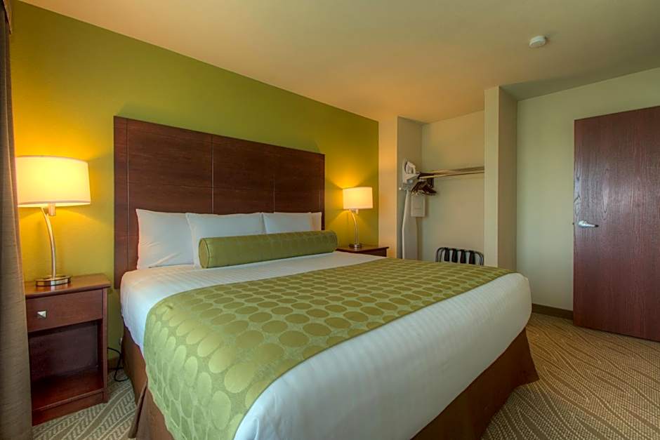 Cobblestone Inn & Suites - Holyoke