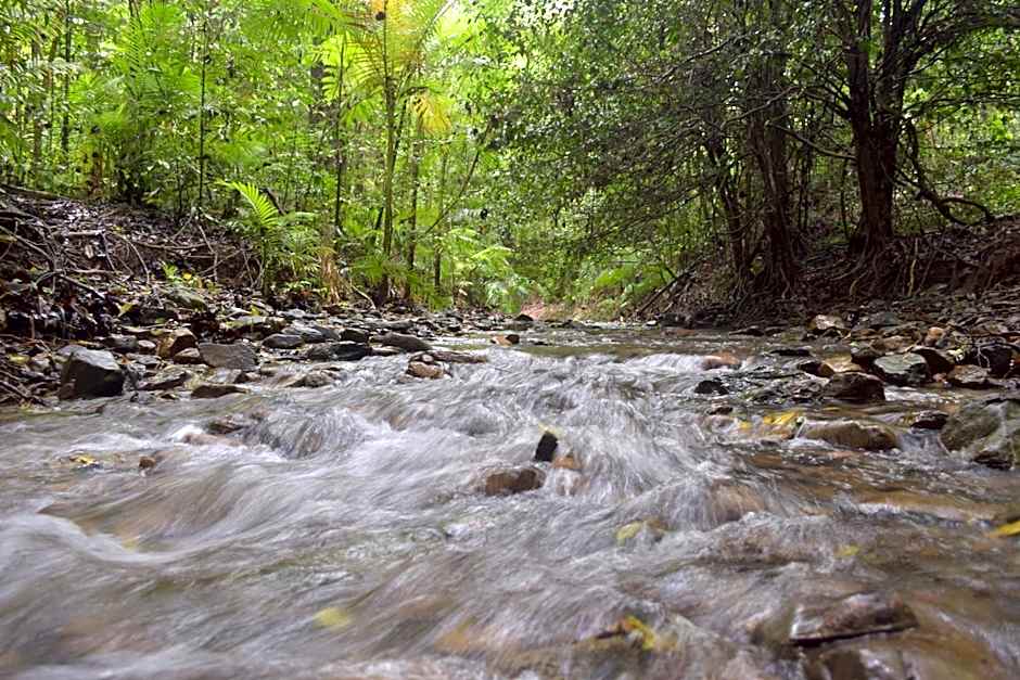 Daintree Peaks ECO Stays