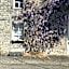 B&B La Buissonniere