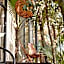 Kapok Bacalar - Plant Based Hotel