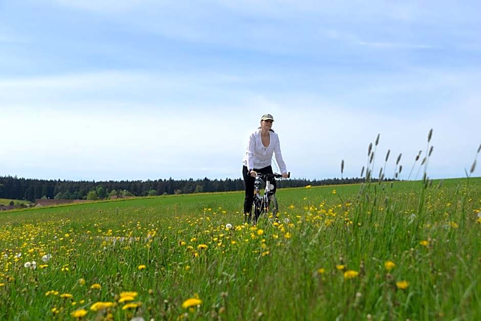 Hotel Krone Igelsberg