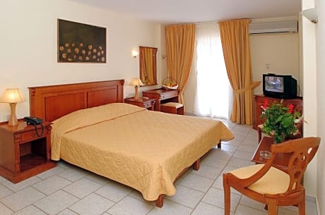 Single Room with Mountain View